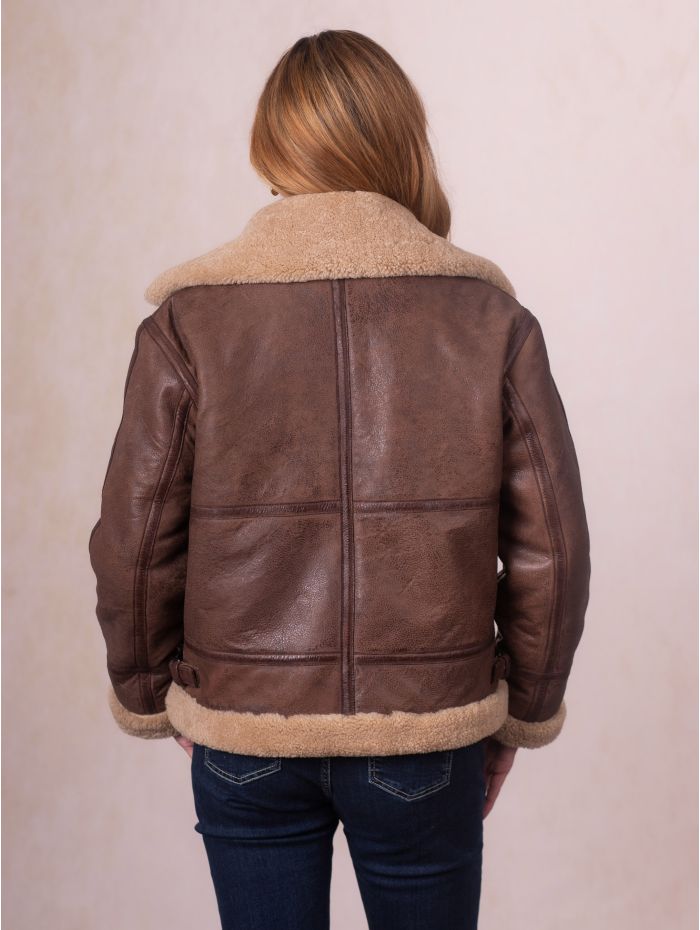 Cawford Aviator Jacket in Brown